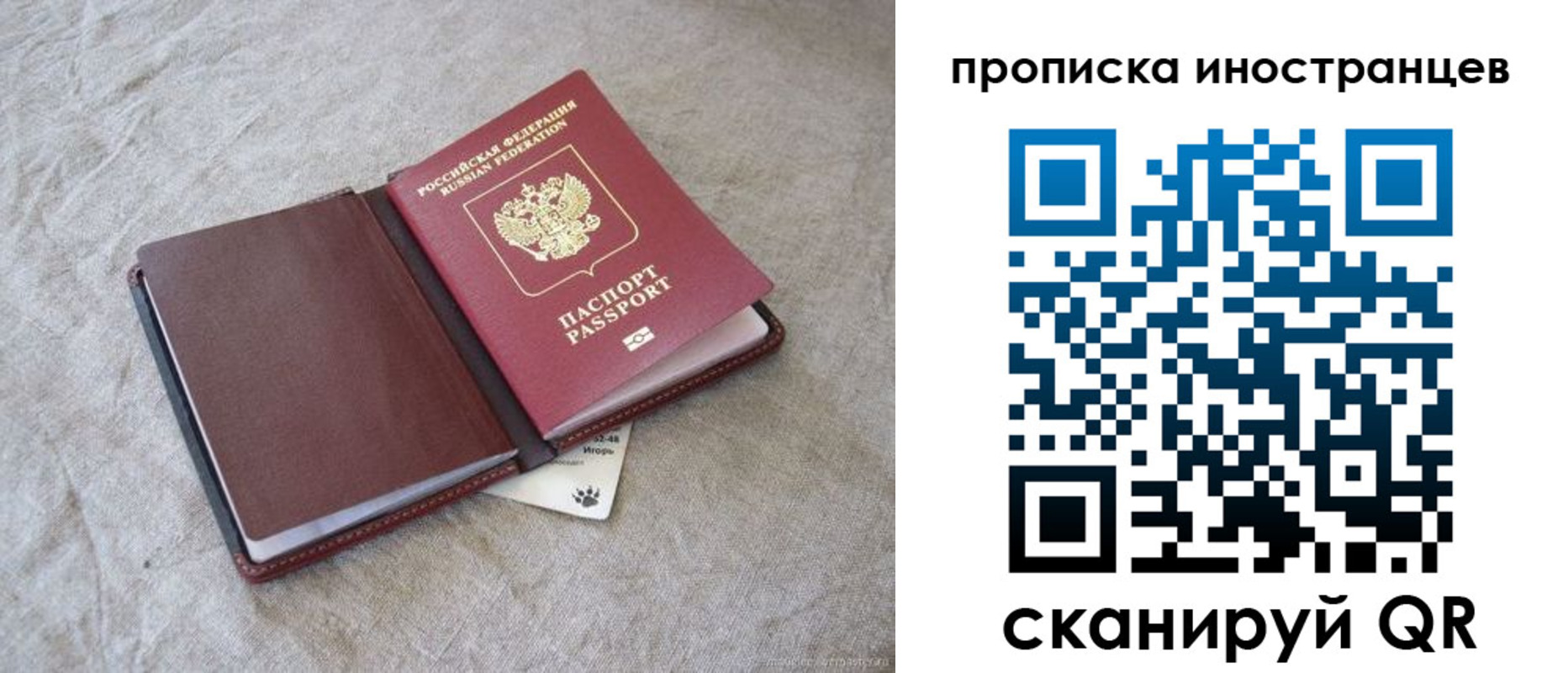 прописка в квартире в Борзе